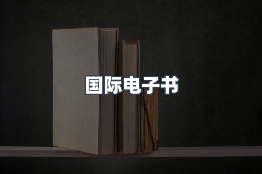 国际电子书